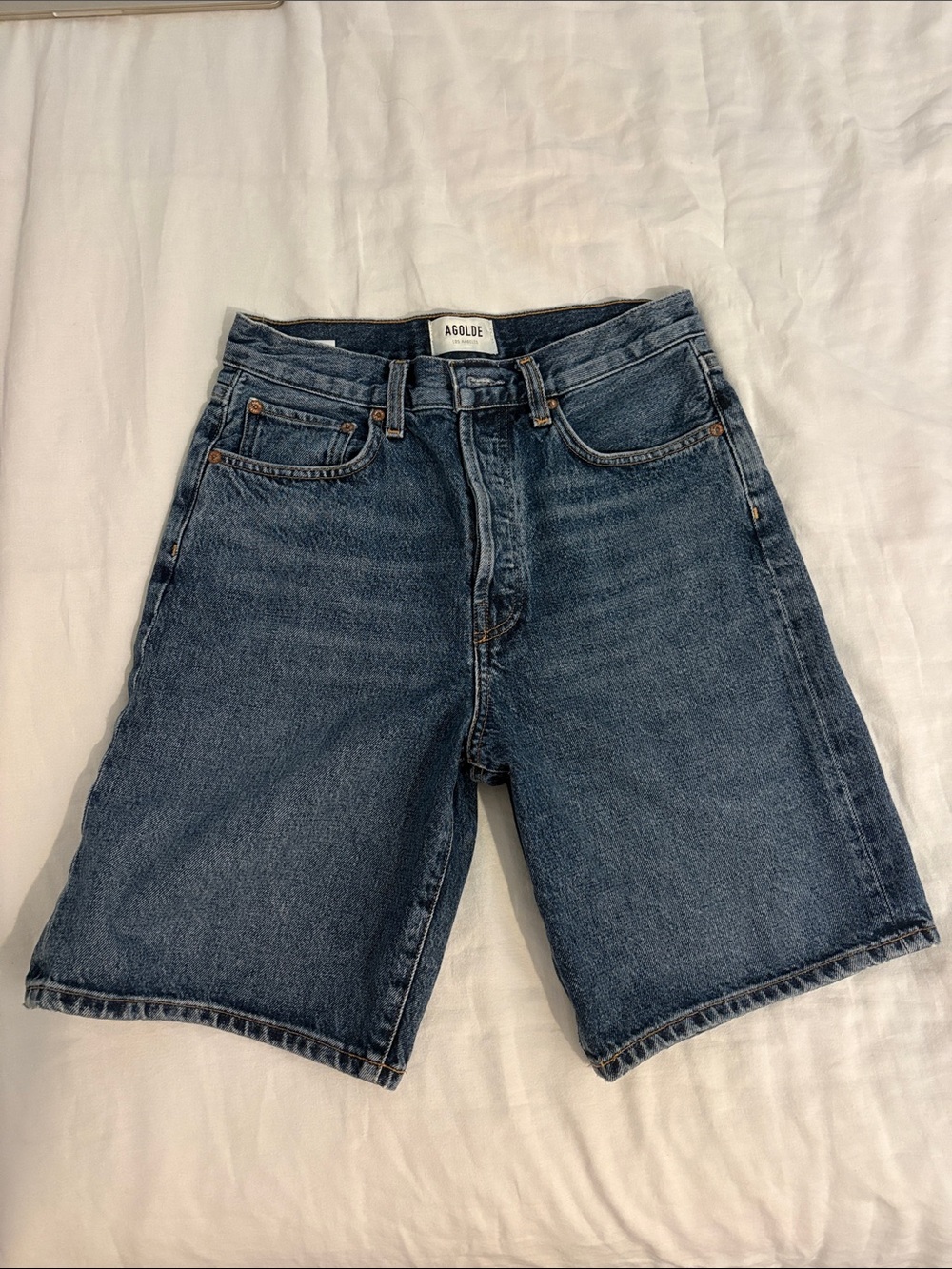 AGOLDE Dark Wash Denim Jorts (24)